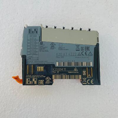 BR X20 AT 4222 Temperature Measurement Module Rev. X0