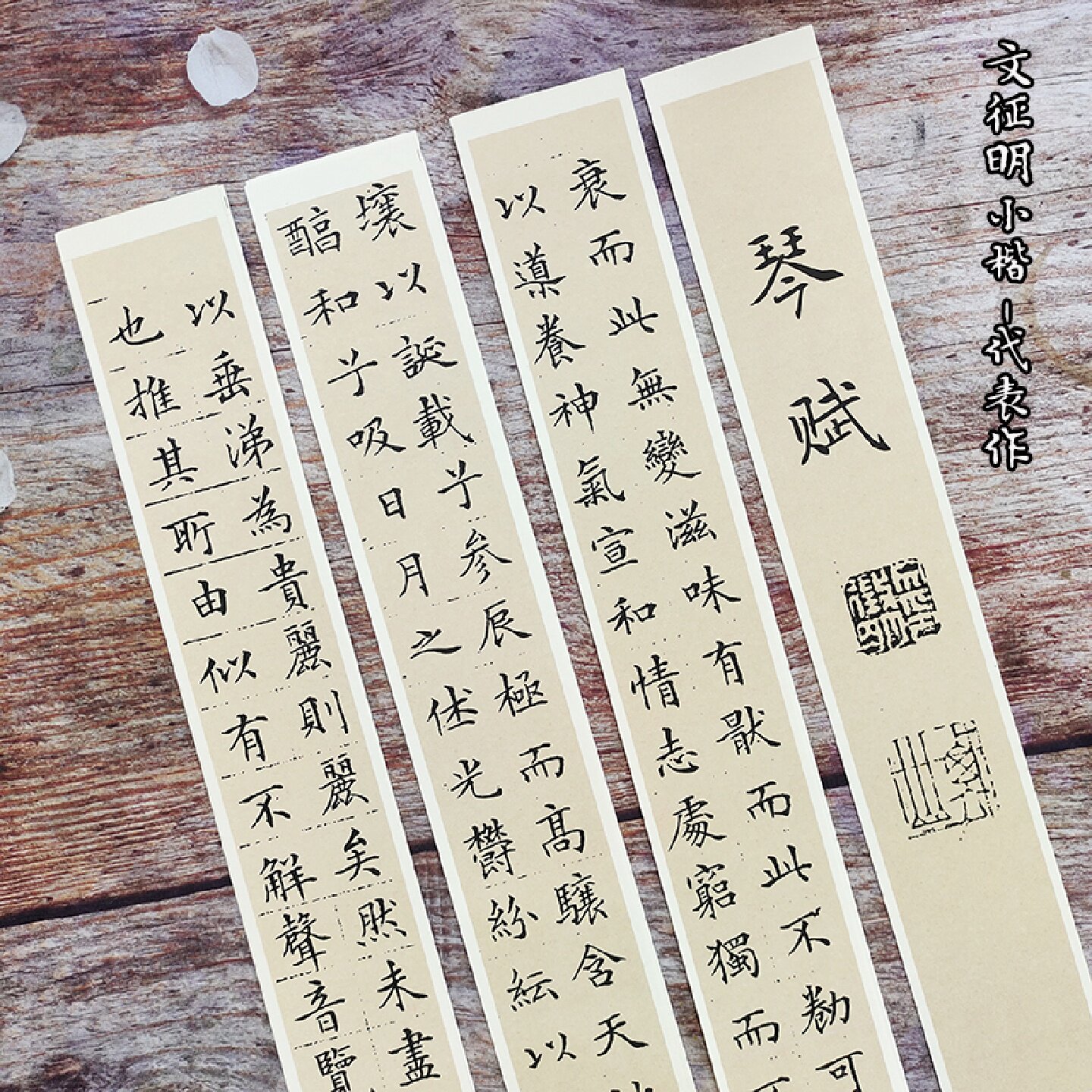文征明琴赋蝇头小楷毛笔楷书字帖书法临摹卡片近距离初学簪花小楷