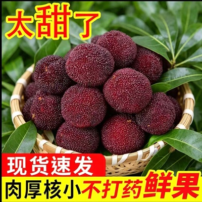贵州当季生鲜水果杨梅产地直发现摘现发新鲜杨梅新鲜采摘酸甜多汁