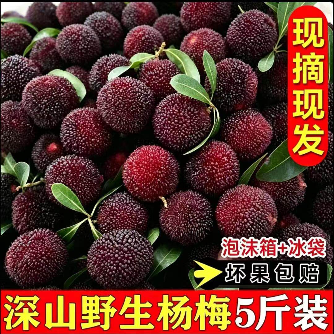 贵州当季生鲜水果杨梅产地直发现摘现发精选野生大果酸甜多汁新鲜