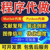 matlab代编程序代做帮做python代码 复现算法仿真编写深度机器学习