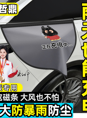 启辰星大V/VDDI/VX6充电口器保护防水盖充电枪防雨罩全车改装配件