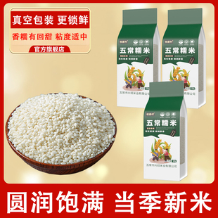 糯米新米东北五常农家白江圆米包粽子专用紫糯米酒血糯米饭旗舰店