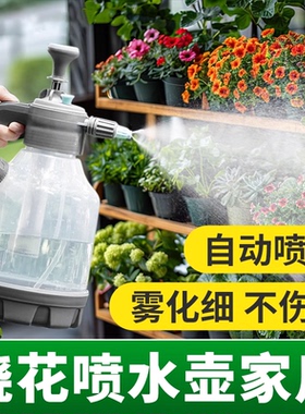 喷壶浇花气压式喷水壶家用小型喷雾器园艺高压消毒清洁打农药专用