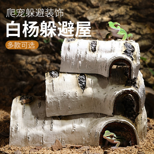 爬宠躲避洞穴乌龟晒台蜘蛛爬虫