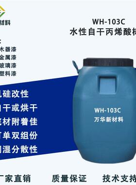 水性有机硅改性丙烯酸树脂自干金属木器玻璃塑胶漆广州万华WH103C
