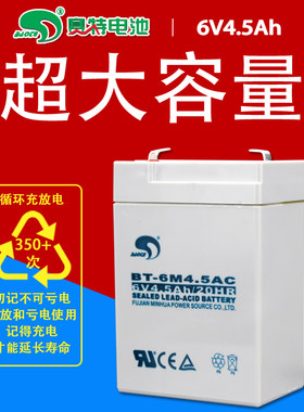 台湾赛特电子秤6V45Ah/20hr吊称蓄电池玩具儿童车BT6M45AC电池