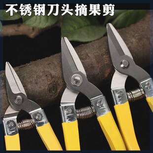 摘果剪刀树枝修剪家用多功能修枝剪树枝修剪采摘桔橘柑子粗枝省力