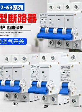 空气开关家用 DZ47小型断路器短路过载保护器C45漏电空开1234PLE