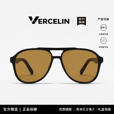 大框茶色墨镜女高级感显脸小防晒