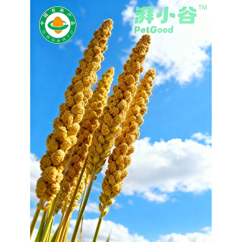 湃小谷有机鹦鹉谷穗天然鹦鹉零食