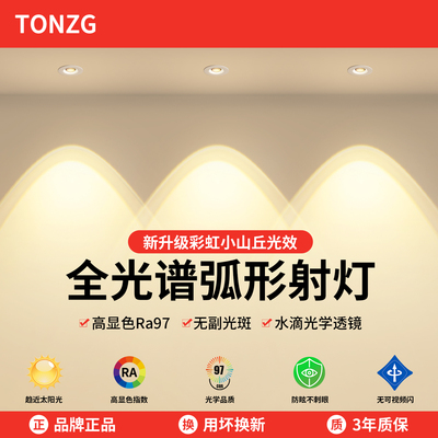 TONZG客厅顶彩虹小山丘洗墙射灯