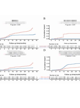 Kaplan-Meier曲线 KM曲线 Cox回归 Landmark数据分析教学