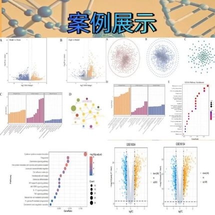 Python或R语言绘图数据分析可视化定制热图森林图ROC曲线柱形饼状