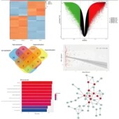网络药理学中药复方代做分子对接医学科研生信分析SCI2 5分
