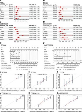 Pubpeer图片查重科研科学SCI检测生物医学流式细胞实验图片误用