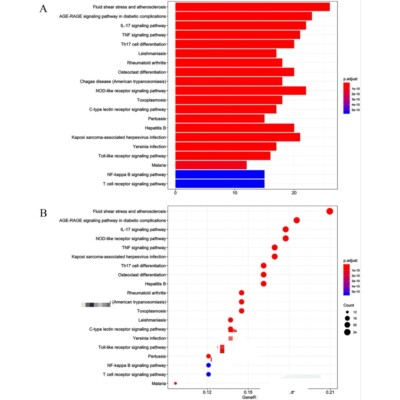 MR孟德尔随机化 1-9分定制服务 多组学中介药靶MR 基因组分析