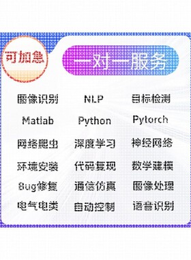 Python代编程深度学习神经网络算法代做跑代码指导编写调试接单