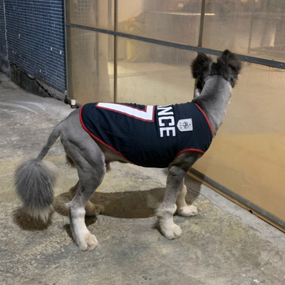 狗狗衣服薄款夏季背心萨摩耶金毛拉布拉多阿拉斯加边牧犬大狗衣服