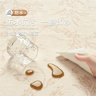 奶油风地毯客厅2025新款 法式 卧室免洗可擦全铺大面积隔音沙发地垫