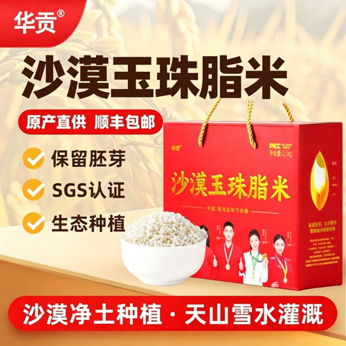 新疆羊脂米沙漠玉珠脂米新疆大米