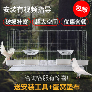 加粗鸽子笼家用配对繁殖养殖笼子白鸽信鸽大号鸟笼子鸽舍鸽棚组合