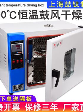实验室电热恒温鼓风干燥箱工业烘干箱高温烘箱大灯老化试验烤箱