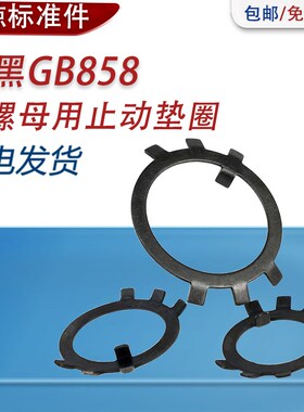 65MN锰钢淬黑圆螺母用止动垫片止退垫圈六爪防松锁紧挡圈GB858M24