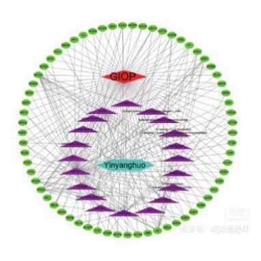 Ppi，蛋白互作，cytoscape, hub gene,网络药理学，聚类热图