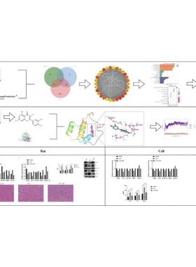 质谱数据分析 高分辨率数据分析 代谢组学 蛋白组学 LCMS GCMS