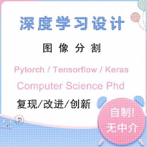 图像分割  代做 深度学习 复现 改进 创新