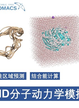 分子对接 药物虚拟筛选Pymol作图autodock vina DS金属酶柔性对接