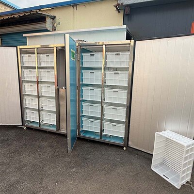 迪生机械 全自动智能豆芽机  商用豆芽机黄豆芽 绿豆芽箱式豆芽机