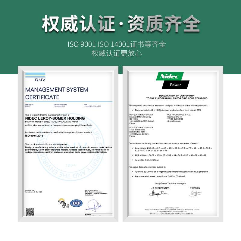LSA50/80/100/120/200KW利莱森玛Leroysomer柴油无刷发电机250KVA