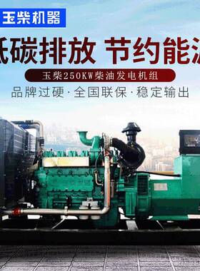 玉柴250KW柴油发电机组YC6MK420L-D20商场用全自动250千瓦发电机