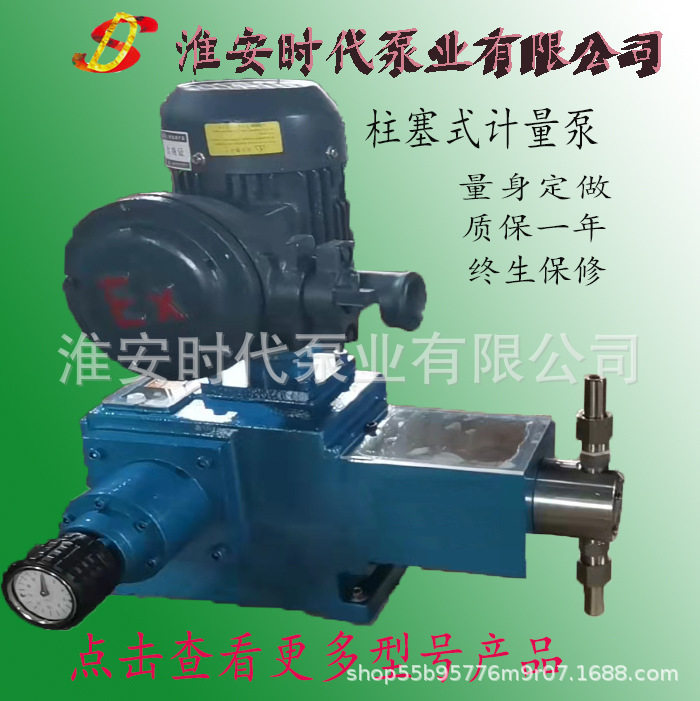 柱塞泵计量泵柱塞式计量泵调量泵单柱塞泵