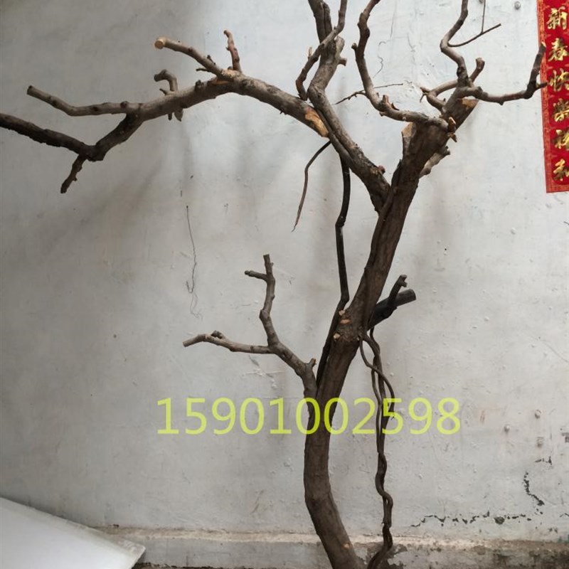 定做新款实木福榕园花卉假树枯树杈干枝装饰树干咖啡造型白色树枝