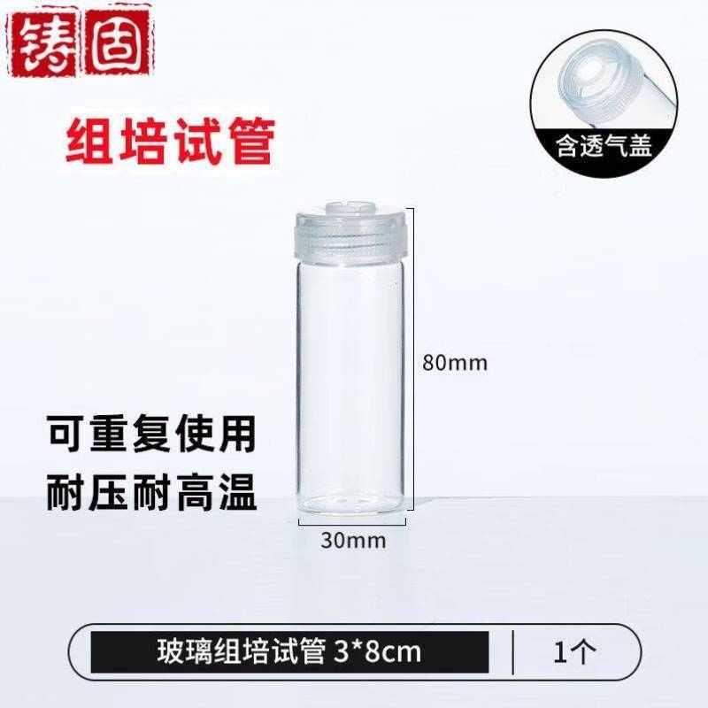 瓶带组培实验室玻璃试管灭菌菌种高温铸固培无菌培养透气盖密封膜