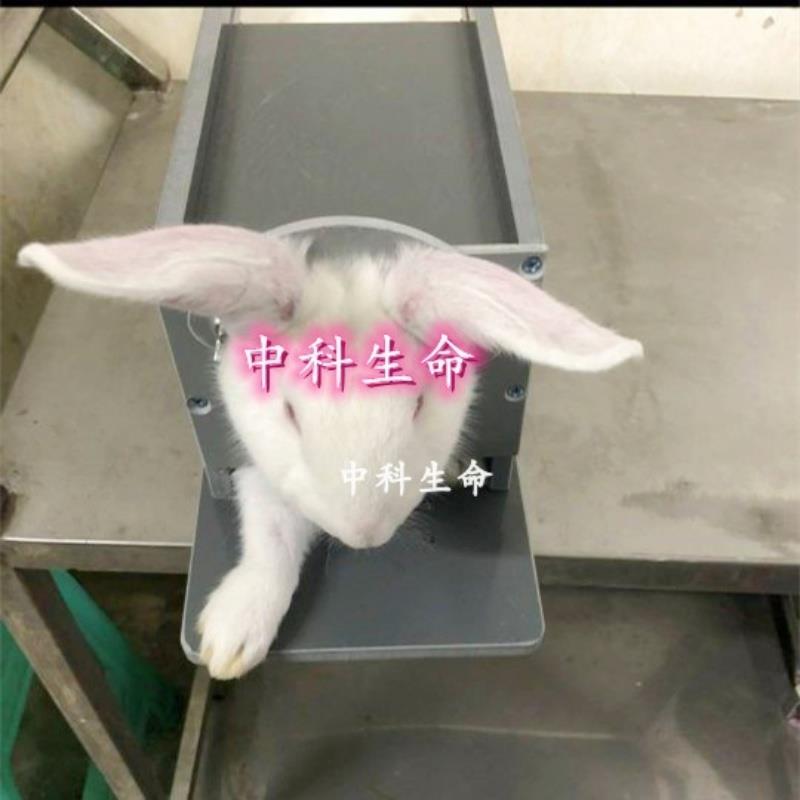 兔子固定器固定箱盒实验兔灌胃保定器不锈钢开口器插管套装可调节