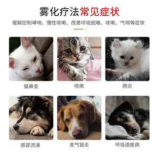 宠物雾化机宠物猫咪狗狗家用静音手持雾化机器不应激雾化药液
