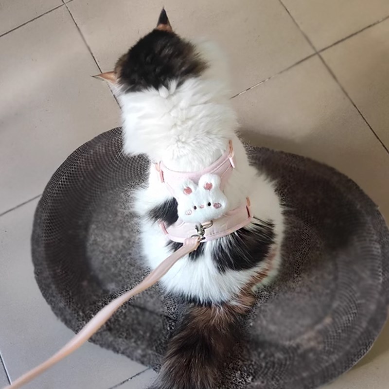 猫咪牵引绳防挣脱工字型胸背宠物狗狗外出遛弯防走丢遛猫遛狗绳子