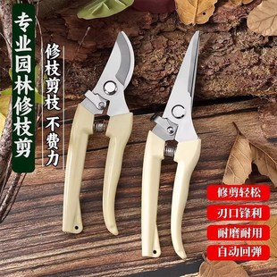园艺剪修枝剪花剪园林剪刀花艺剪剪树枝果树剪刀枝剪修剪花卉剪子