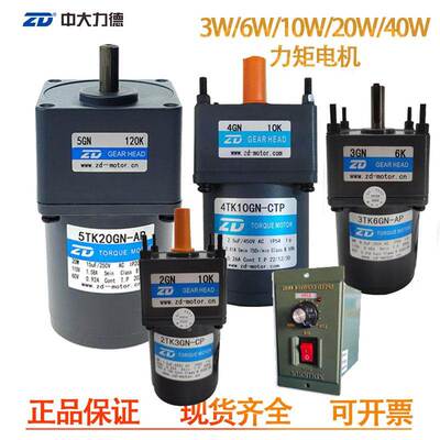 ZD中大力矩堵转电机3W6w10w20w40w 2TK3GN-CP/2GN10K齿轮箱减速机