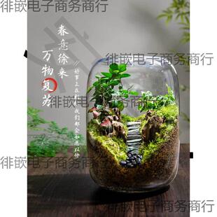 桌养面微景生命之生树态瓶创意盆栽ZNZ办公室绿植成观品盆景好活
