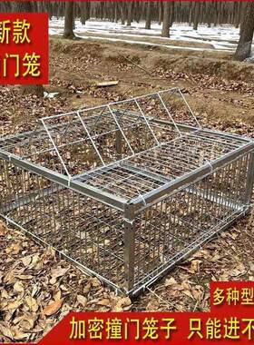 户天笼鸽子笼撞落门活神URU络门鸽笼铁外笼只进不出跳笼器房顶自