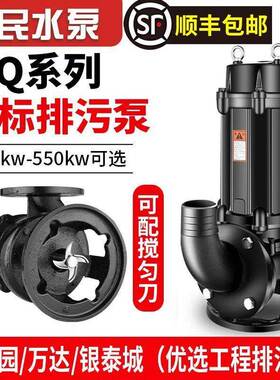 上海人民标千污水泵380v三相功率水大泵泥浆瓦QLQ潜水国泵流量排