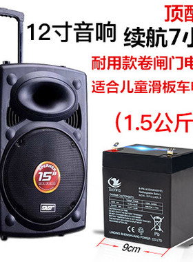 电动门卷闸门UPS控制箱备用6-fm-4.5拉杆音响12V4.5ah蓄电池电瓶
