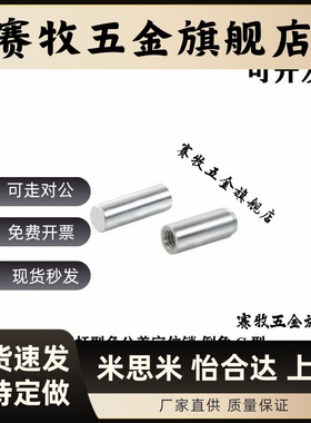 BLW81/82/83-h7-D1/2/3/4/5/6/8-L5/6/8/10/12/15/20/25/30定位销