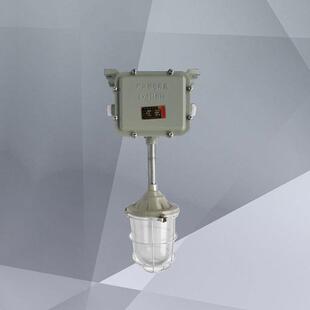 防爆泛光灯 卤素灯 金卤灯150w 250w 400w防爆投光灯 工厂投射