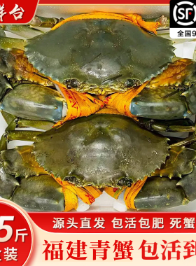 包活鲜活福建青蟹礼盒特大红膏蟹黄油蟹肉蟹超大螃蟹红鲟母蟹礼盒